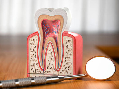 Endodontia Saraiva Odontologia